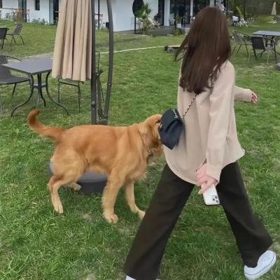叶罗丽梦奇境真人版